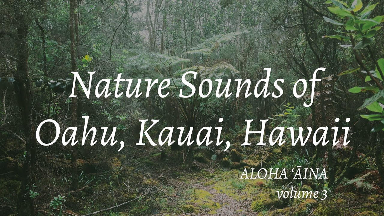 Nature Sounds of Oahu, Kauai, Hawaii: Aloha &lsquo;Āina, Volume 3 // Beaches, Streams, Forests