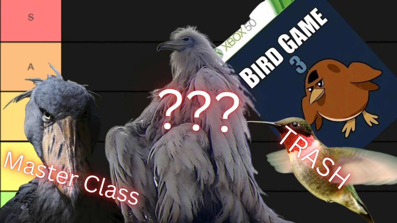LORE ACCURATE Bird game 3 skill tier list