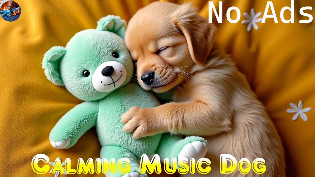 (No Ads) Deep Sleep Music for Dog🐶Anti-Separation Anxiety & Calming Healing Sounds💖Dog Relax Music