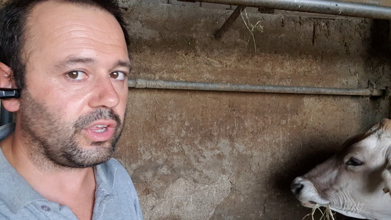 Il controllo degli abbeveratoi nella stabulazione fissa