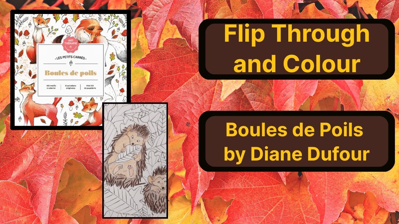 Adult Colouring Book Flip Through and Colour - Boules de Poils by Diane Dufour