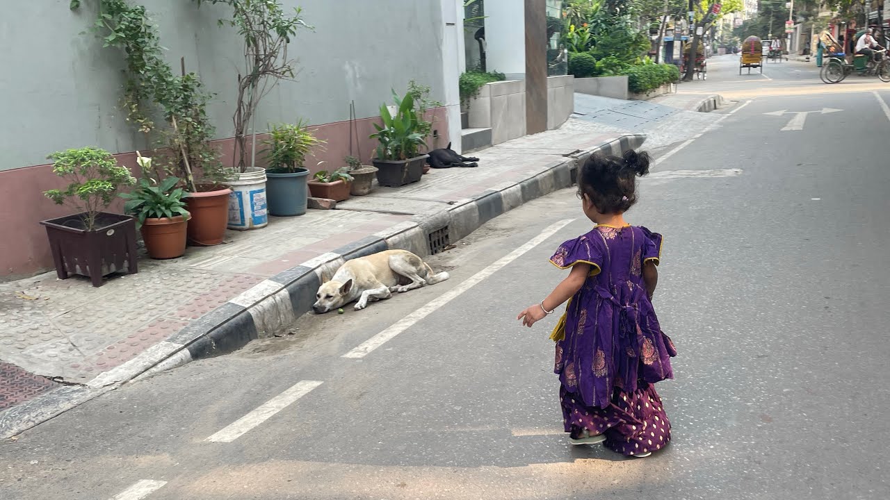 Eid day #vlog #minivlog