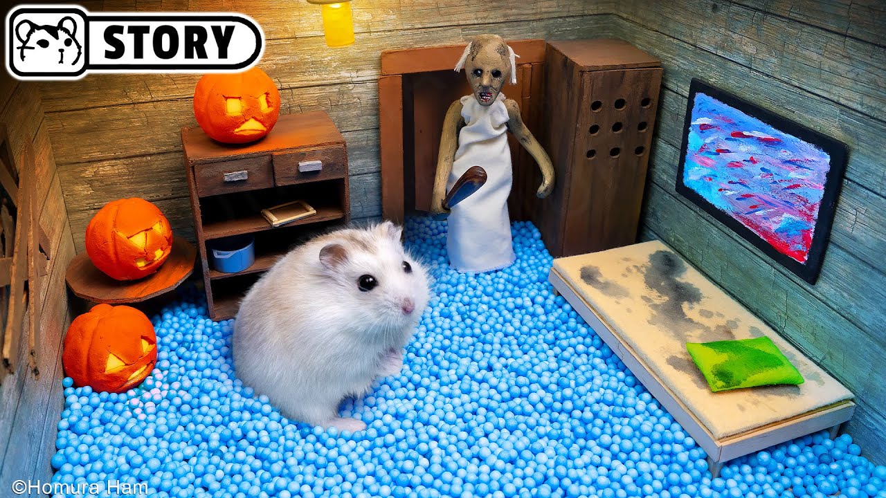 🐹 Хомяк сбегает из лабиринта Гренни для питомцев в реальной жизни 🐹 Хомура Хам