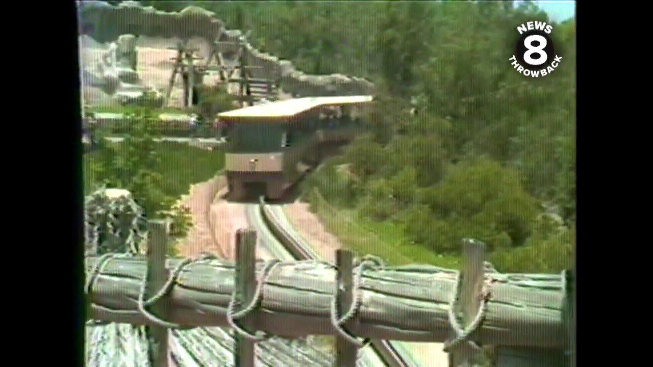 News 8 Throwback 1978: San Diego Wild Animal Park tour
