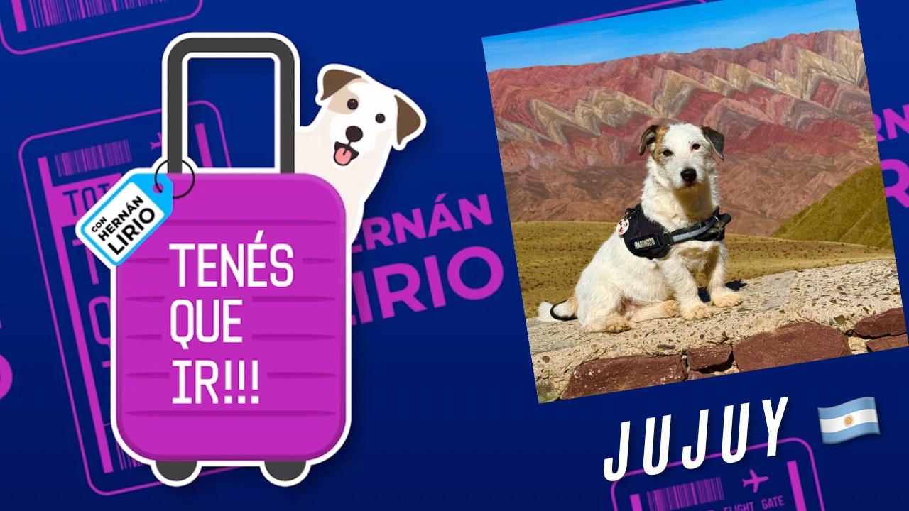 #TenesQueIr l Programa del 7 de febrero de 2026 - Jujuy