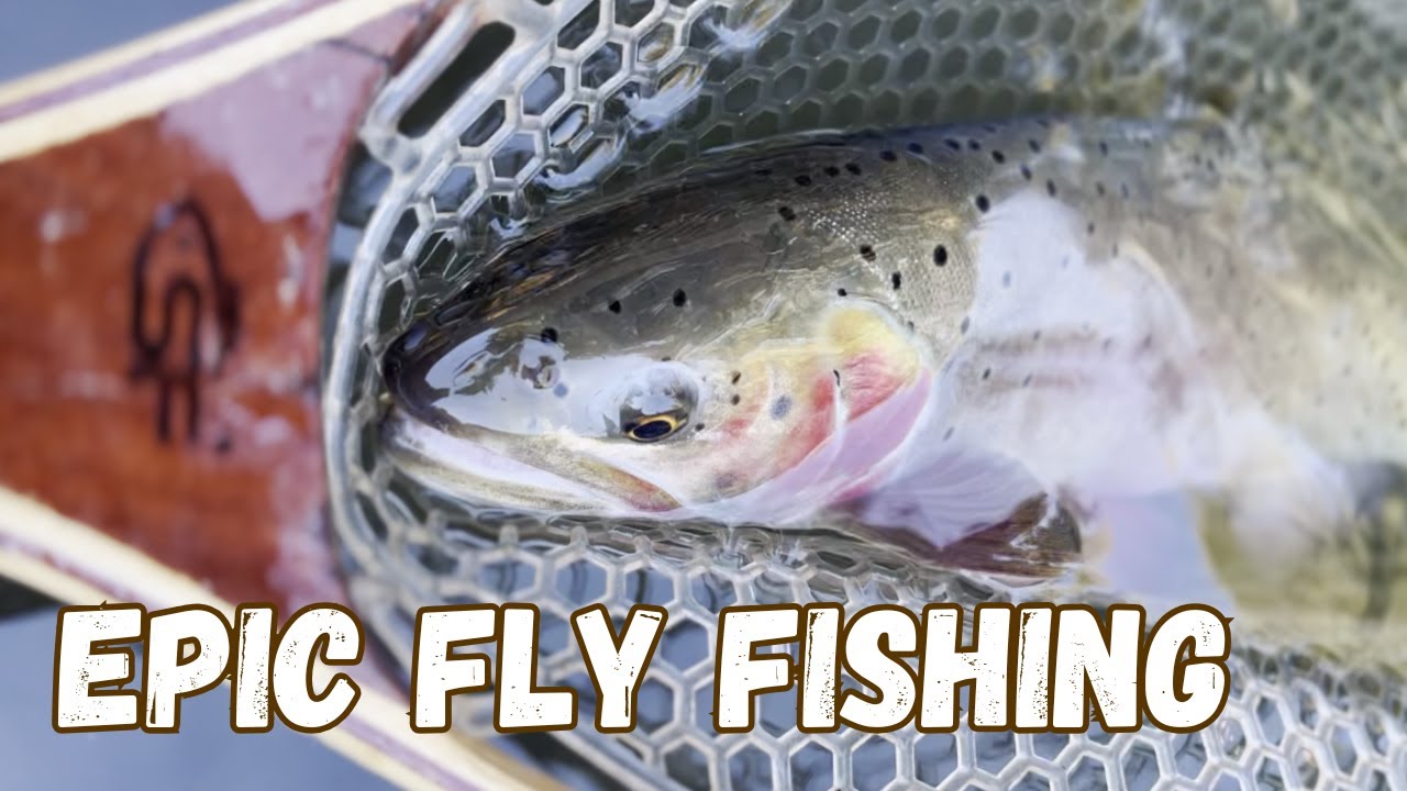The Best Fly Fishing In Utah: Small Streams