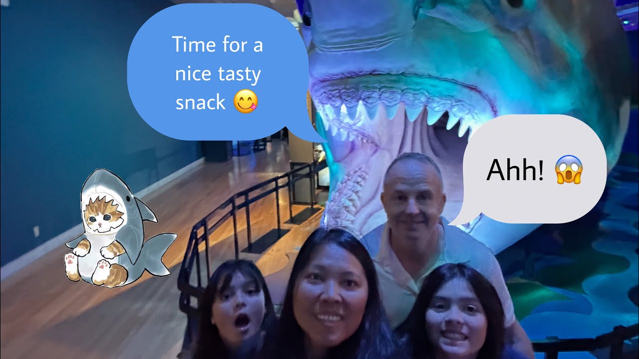 Museum Shark Toronto