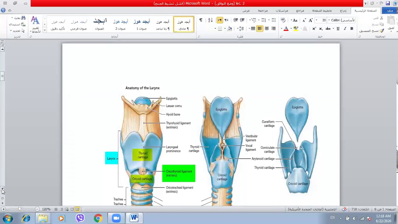 Histology of Larynx / د. رشا الجوهر