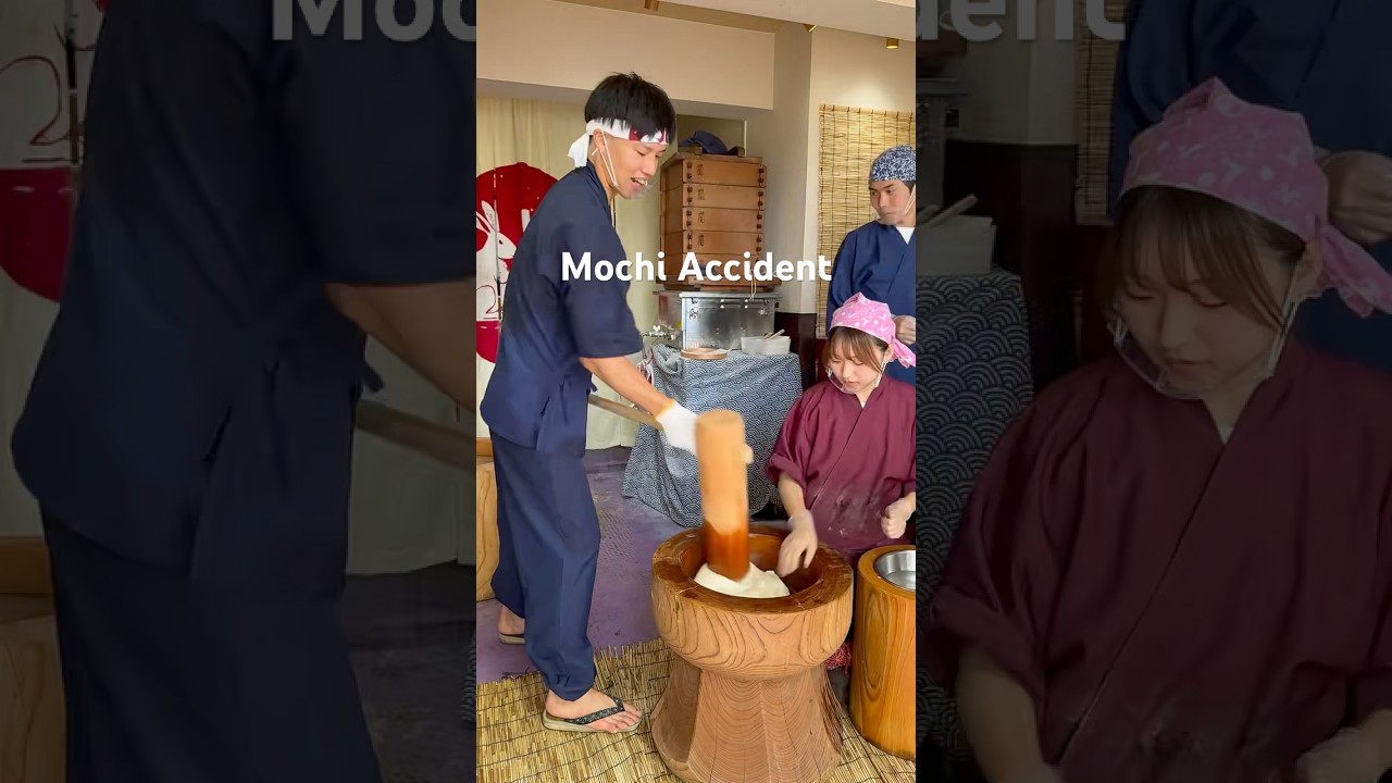 Mochi accident hit hand catch by camera#mochi #viral #subscribe #trending