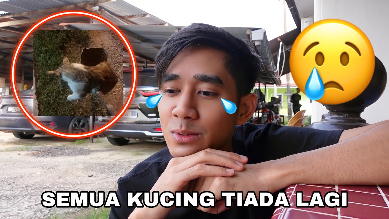 BYE KUCING KESAYANGAN AQIL 😢 SEMUA DAH MAT1 😭