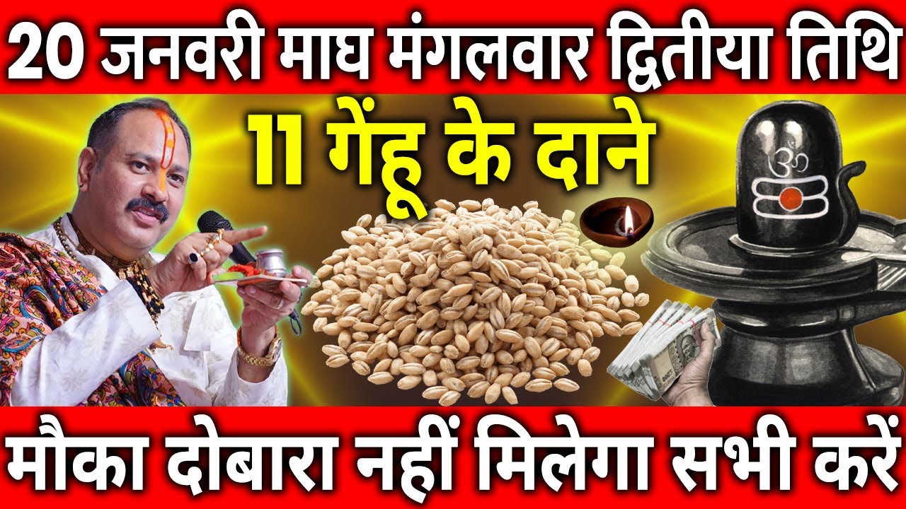 20 जनवरी माघ मंगलवार द्वितीया तिथि के दिन 11 गेंहू के दाने वाला उपाय जरुर करे || Pradeep Ji Mishra