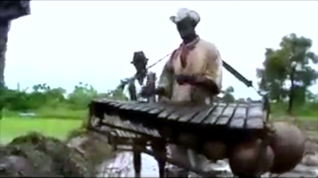 Balafon dans les champs