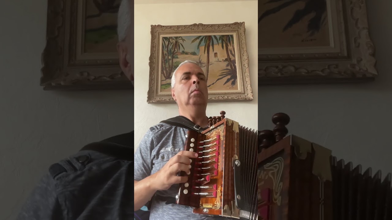 Cronin&rsquo;s. Hornpipe. Irish tradition. Melody A. 1-4 #lygeros #youtubeshorts #music #accordion