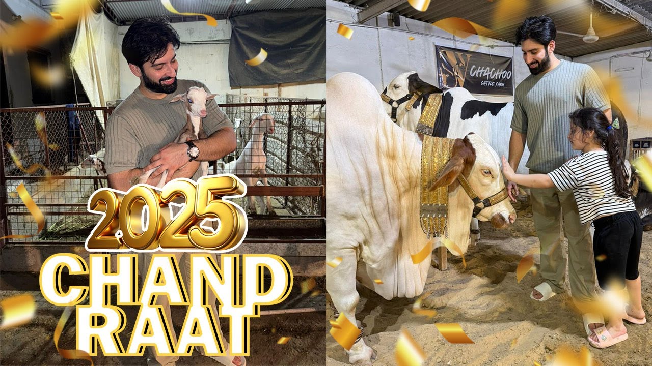 CHAND RAAT SPECIAL | SPENDING TIME WITH OUR ANIMALS | 2025