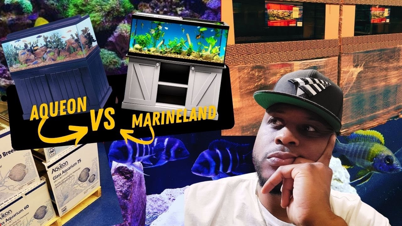 🏆Aqueon vs Marineland Aquariums Review | African Cichlid Update