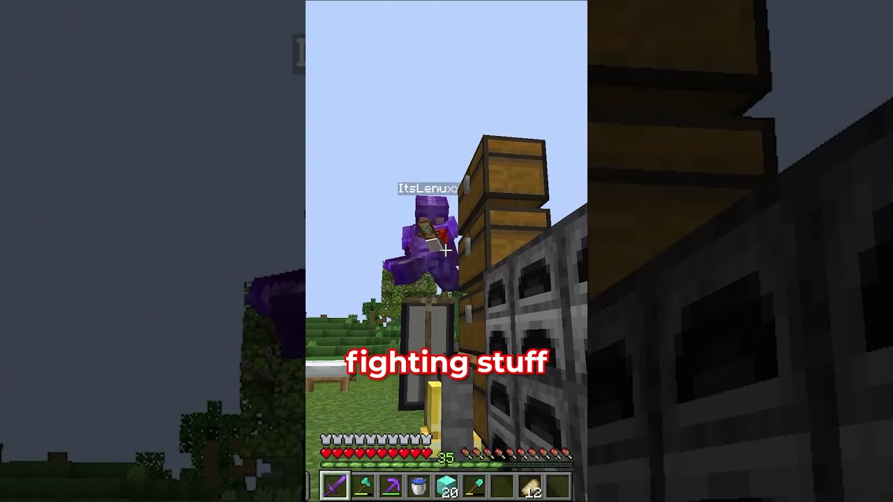 I Got SCAMMED On The Awaken SMP!