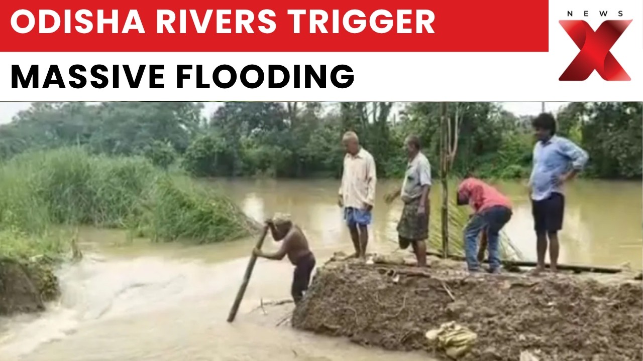 Odisha Floods: Baitarani and Salandi Rivers Overflow, Bhadrak District Battles Severe Flooding