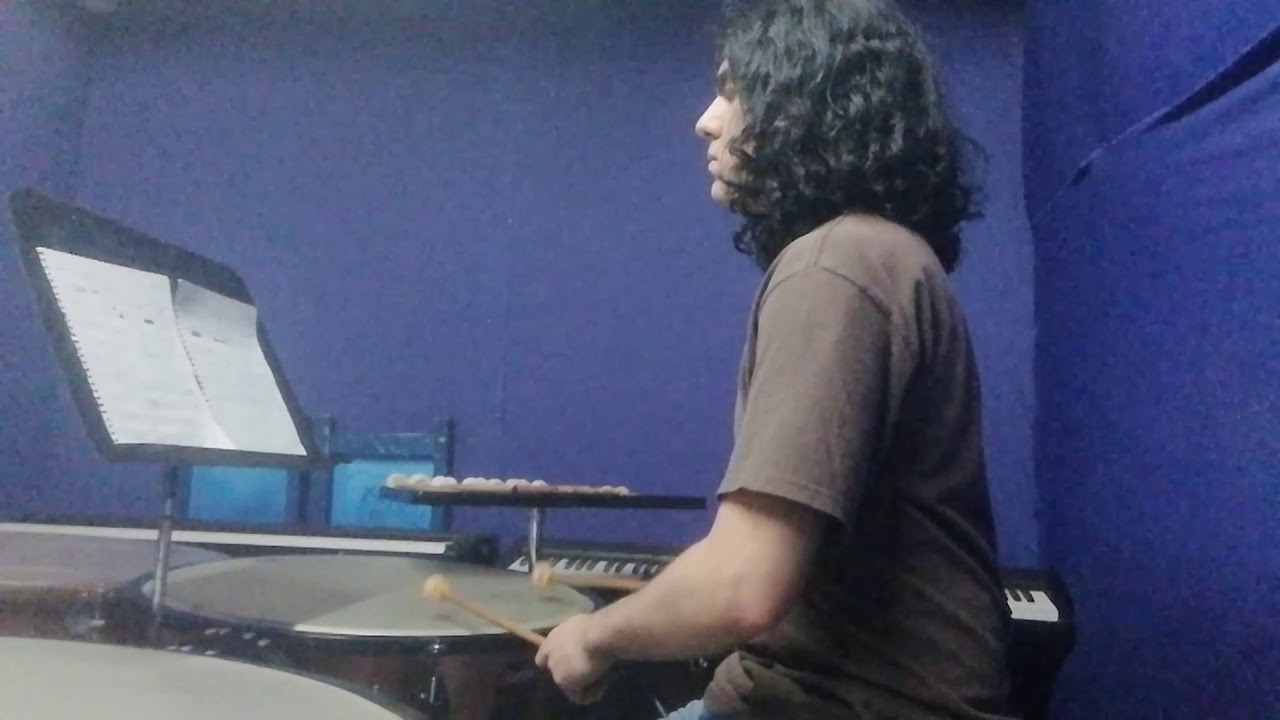 Finlandia timpani