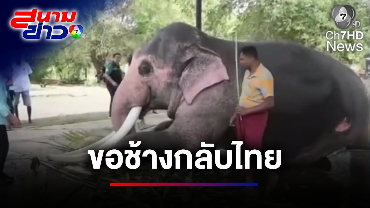 จ่อเยี่ยม พลายประตูผา-พลายศรีณรงค์ ก่อนขอกลับไทย | สนามข่าว 7 สี