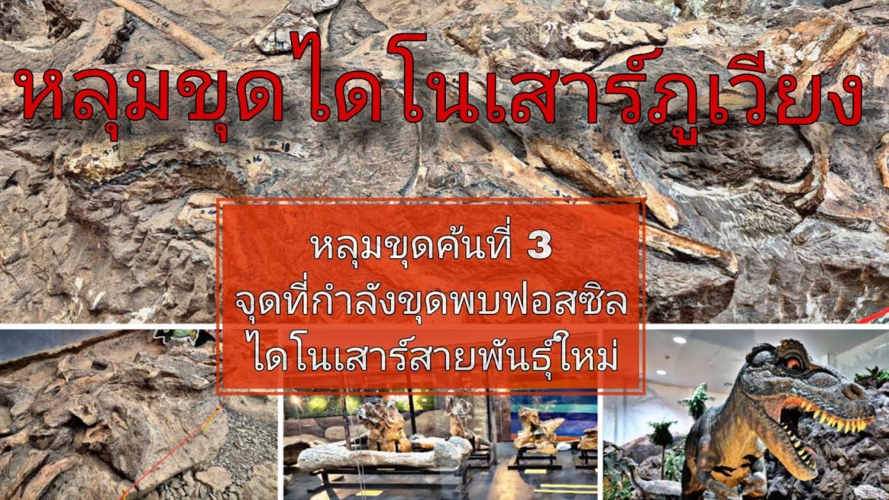 พาไปหลุมขุดไดโนเสาร์ที่ภูเวียง ขอนแก่น ที่กำลังมีการขุดฟอสซิลไดโนเสาร์พันธุ์ไหม่ +พาชมพิพิธภัณฑ์