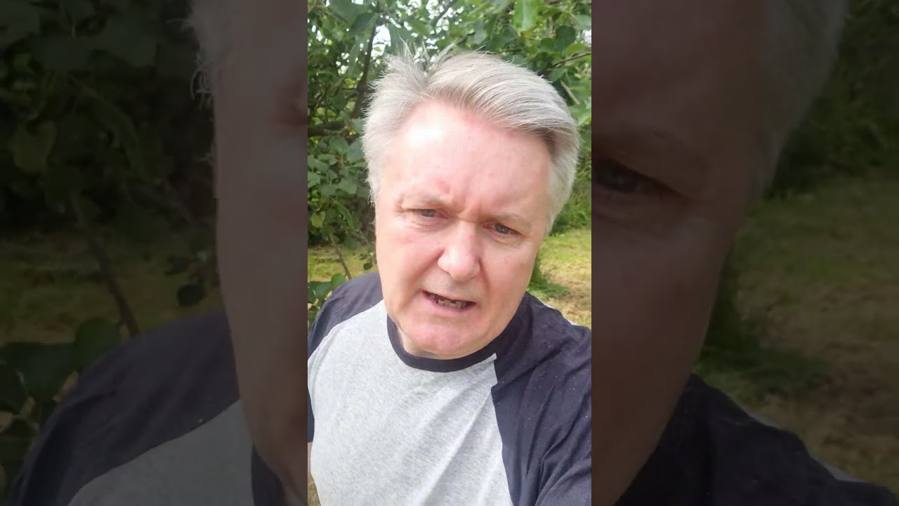 Ireland's Immigration problem explained