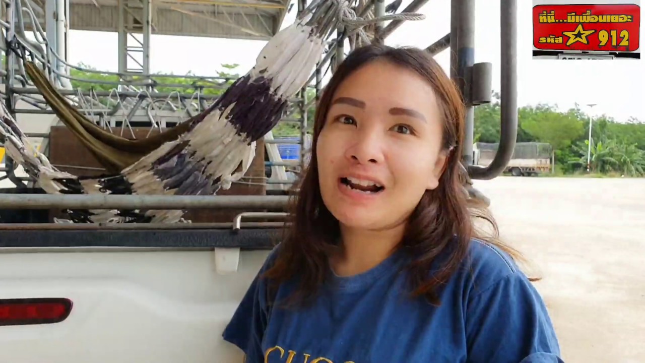 ได้เงินได้เที่ยว มีความสนุกกับอาชีพ ขับรถคอก