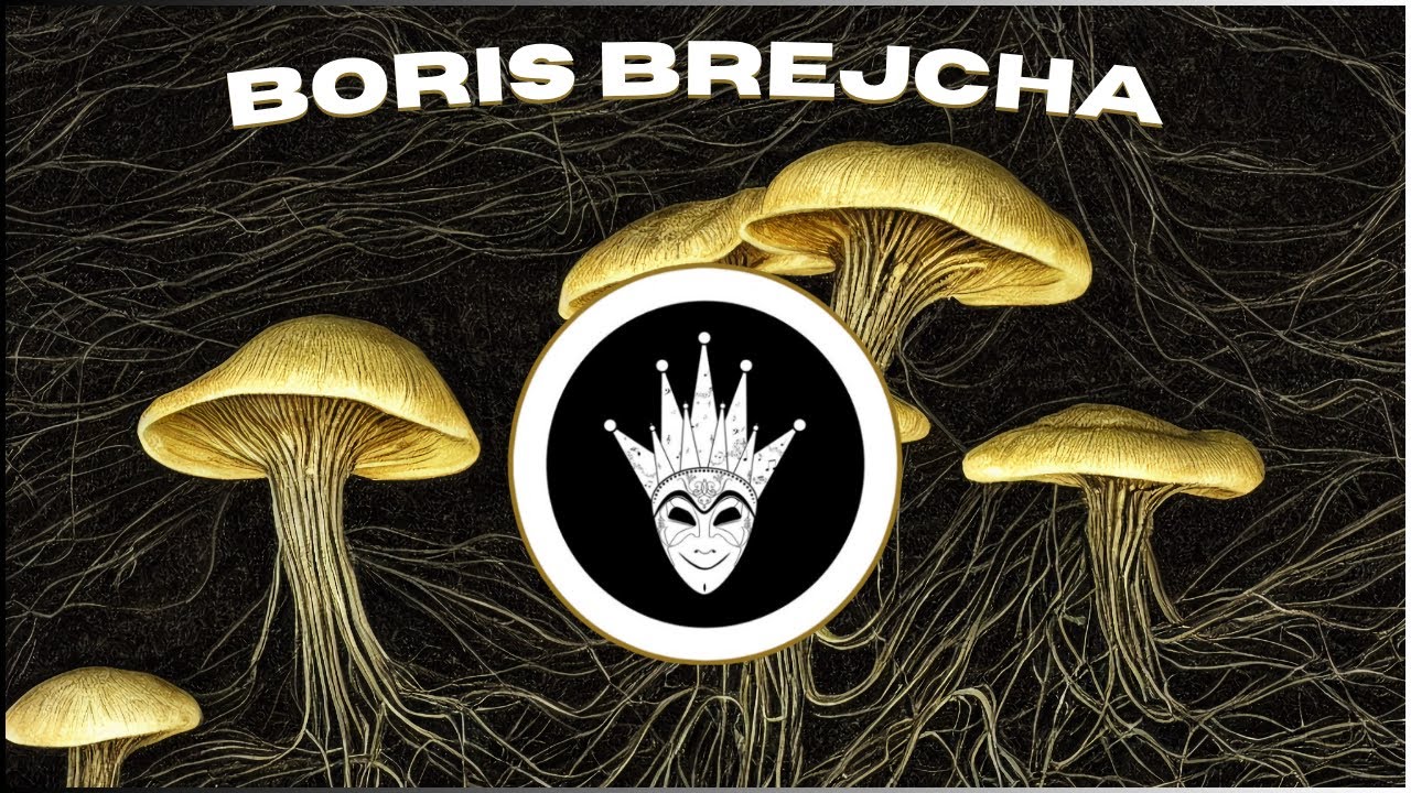 Boris Brejcha Minimal Techno Style / Signal