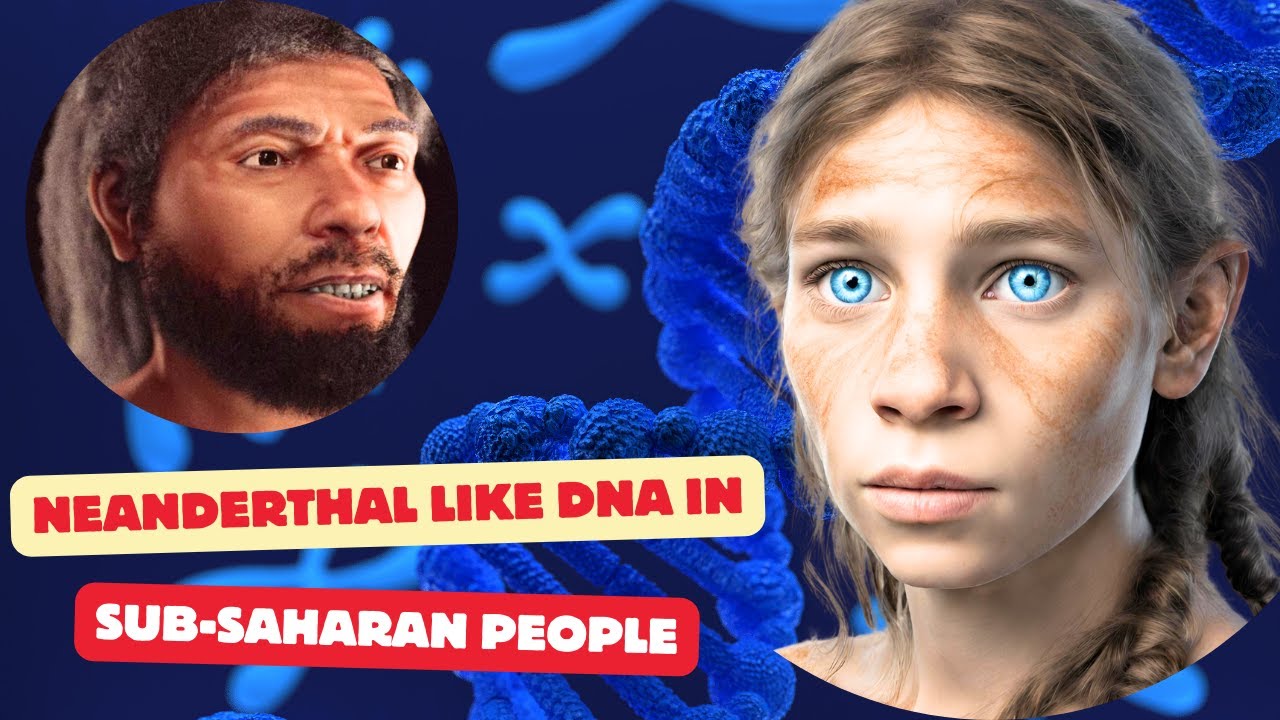 Controversial Discovery | Neanderthal DNA in Sub-Saharan African Populations