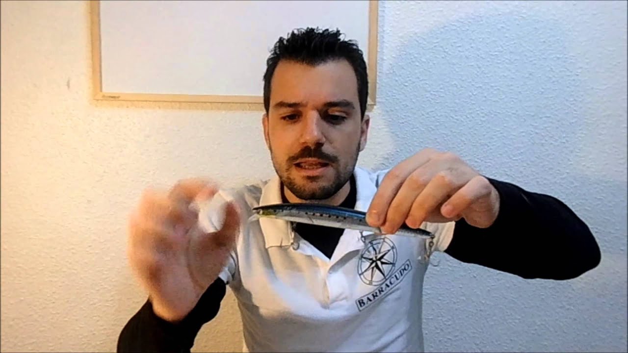 Barracudo- Características de las rapalas
