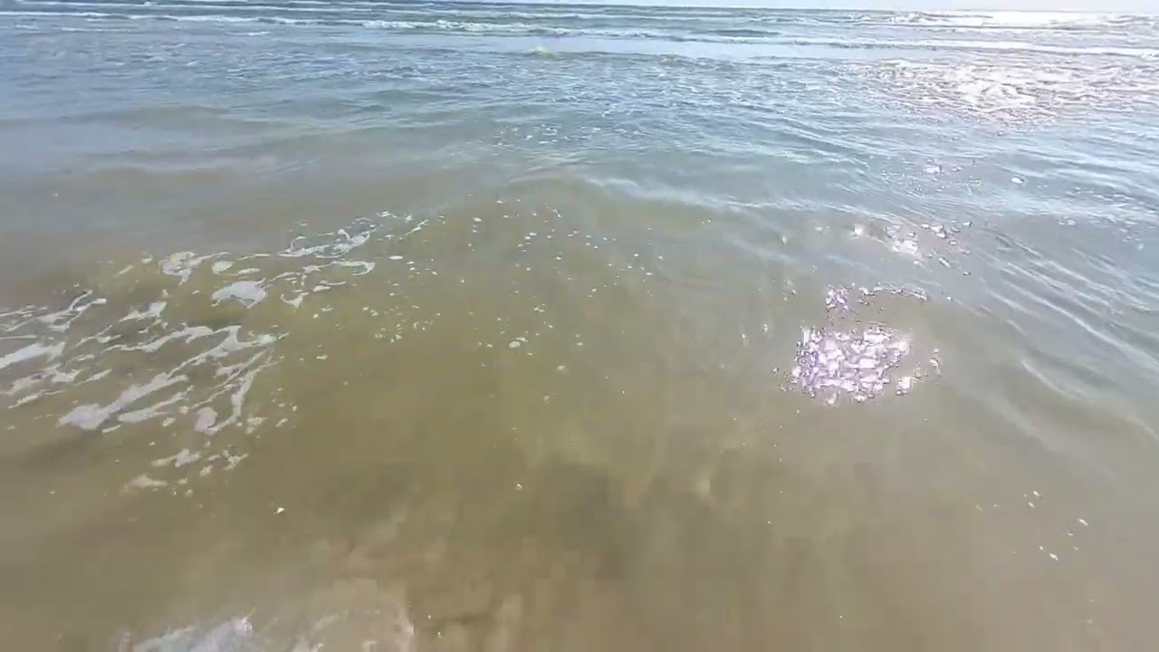South Padre seashore walking tour