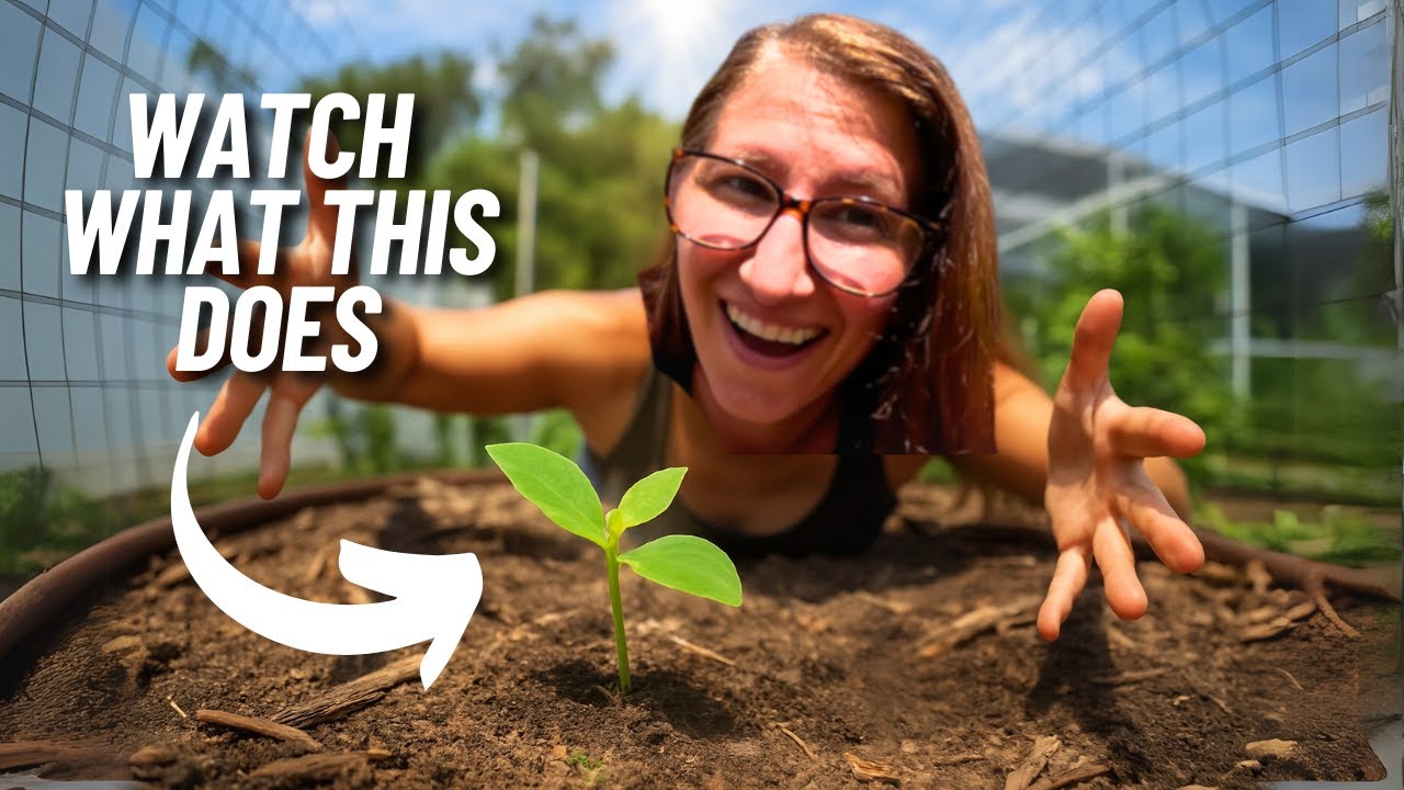 5 Seeds I'm Planting This Summer for a Low Maintenance Garden