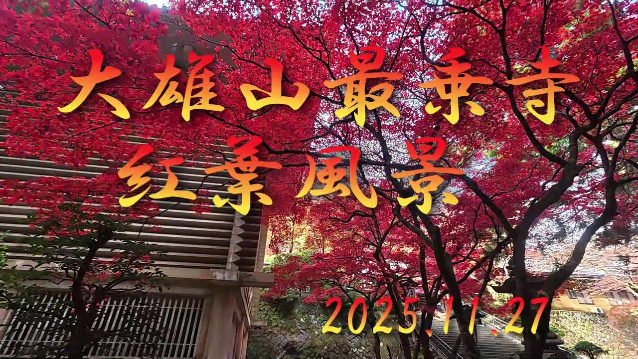 大雄山最乗寺の紅葉2025.11.27