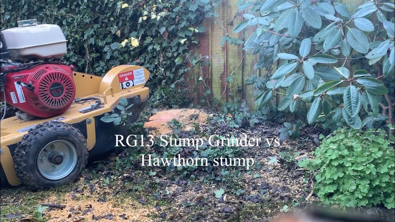 RG13 stump grinder