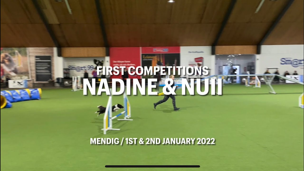 01/02JAN2022– Nadine & Sheltie Nuii – A0 Small
