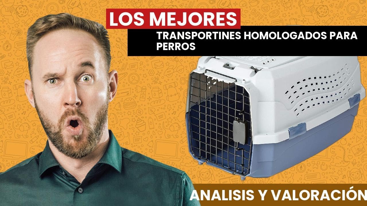 Los mejores TRANSPORTINES HOMOLOGADOS para PERROS