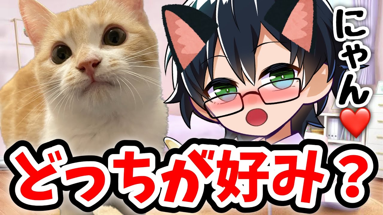 ネコの真似をするおんりーが可愛いすぎる❤️にゃん語を使うおんりーとむぎくんだったら、あなたはどっちを飼いますか？？【ドズル社/切り抜き】🐽