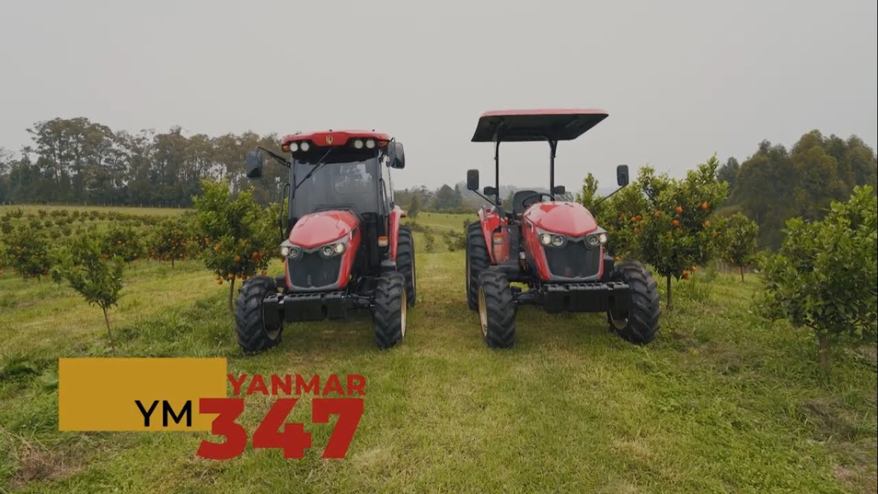 YM 347 - O PURO SANGUE DA YANMAR
