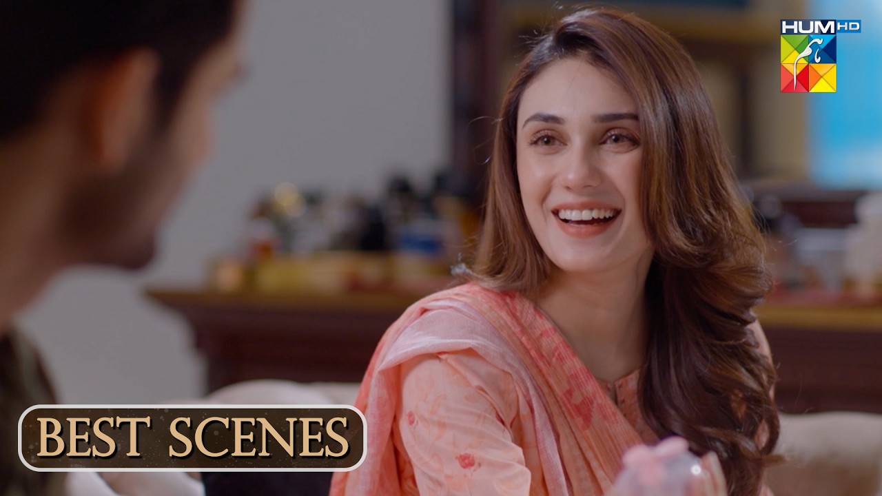 Aye Dil Aazma Nahin - New Episode | Best Scene | ft. Mirza Zain Baig & Hina Tariq | HUM TV