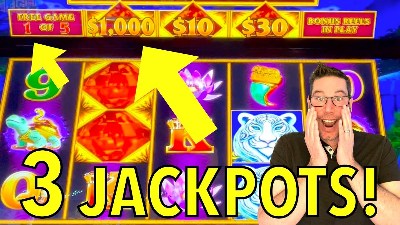 The $1000 Gem That Left Everyone Speechless!!! 3 MASSIVE JACKPOTS!! Valley of the Tiger 🐯💎🐲