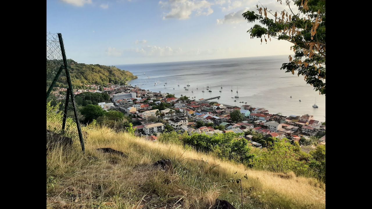 Paysage verdoyant sur la route du nord atlantique en Martinique