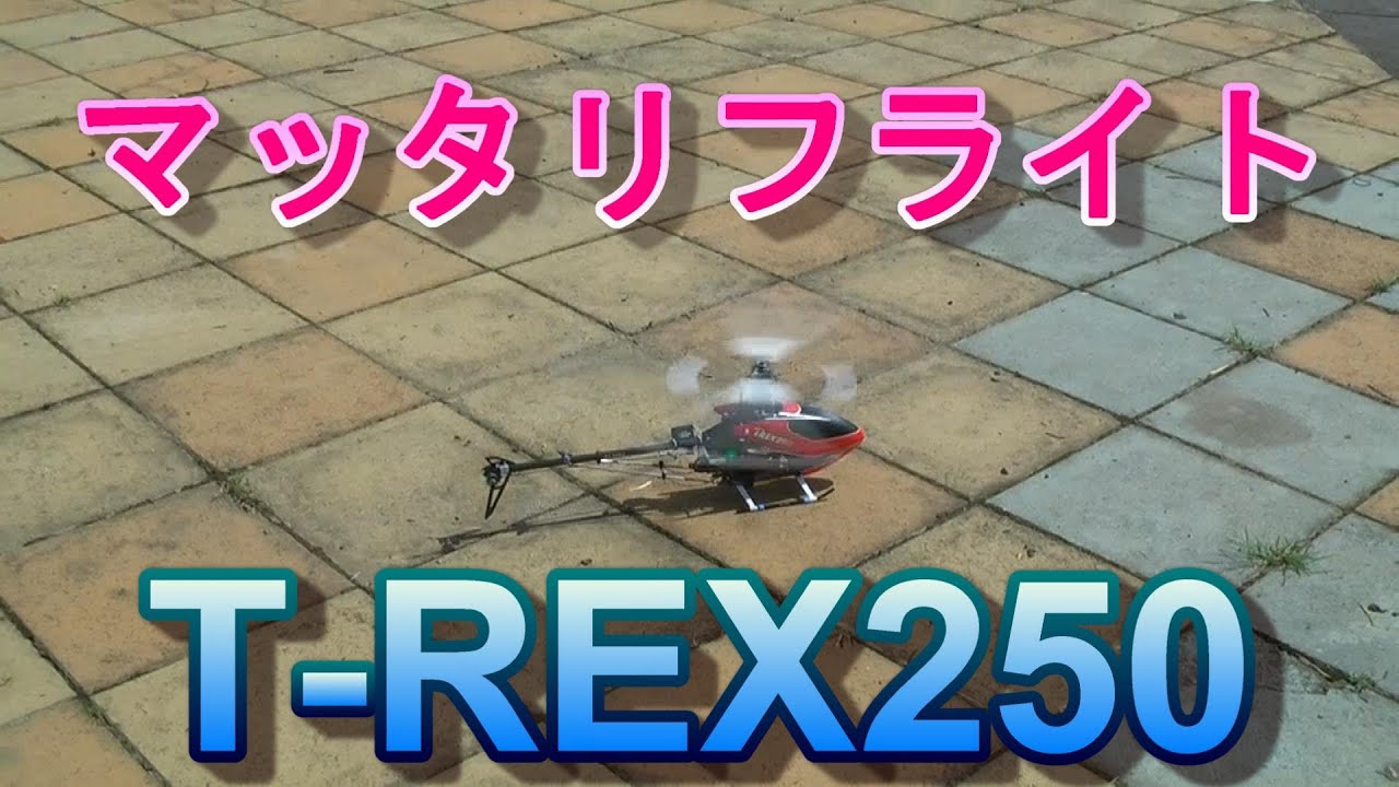 ラジコンヘリ　出先の公園でマッタリ飛ばすALIGN　T-REX250