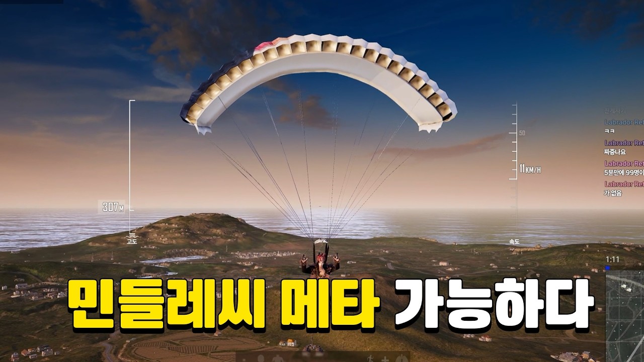 민들레씨 메타 아직 가능하다