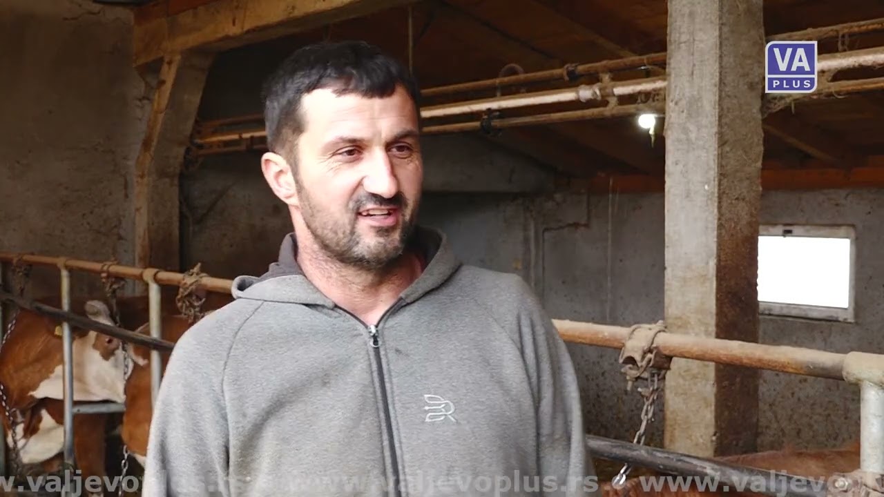 VALJEVO DANAS (03-02-2026)