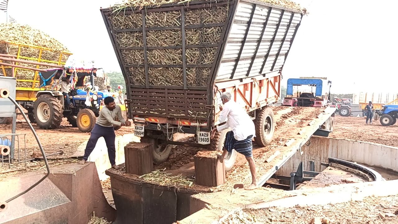 suger cane unload of tractor 🔥 (tripler)