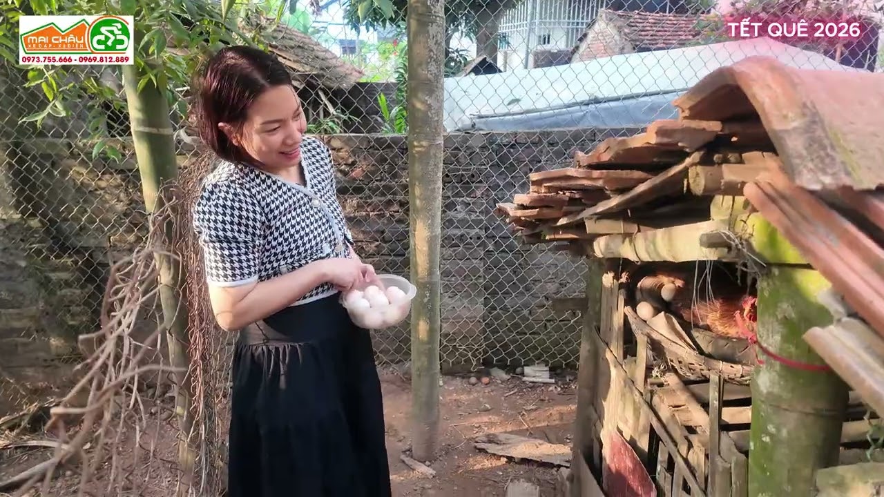 MÀN THU HOẠCH TRỨNG NHẦM GÀ MẸ ĐANG ẤP VÀ CÁI KẾT