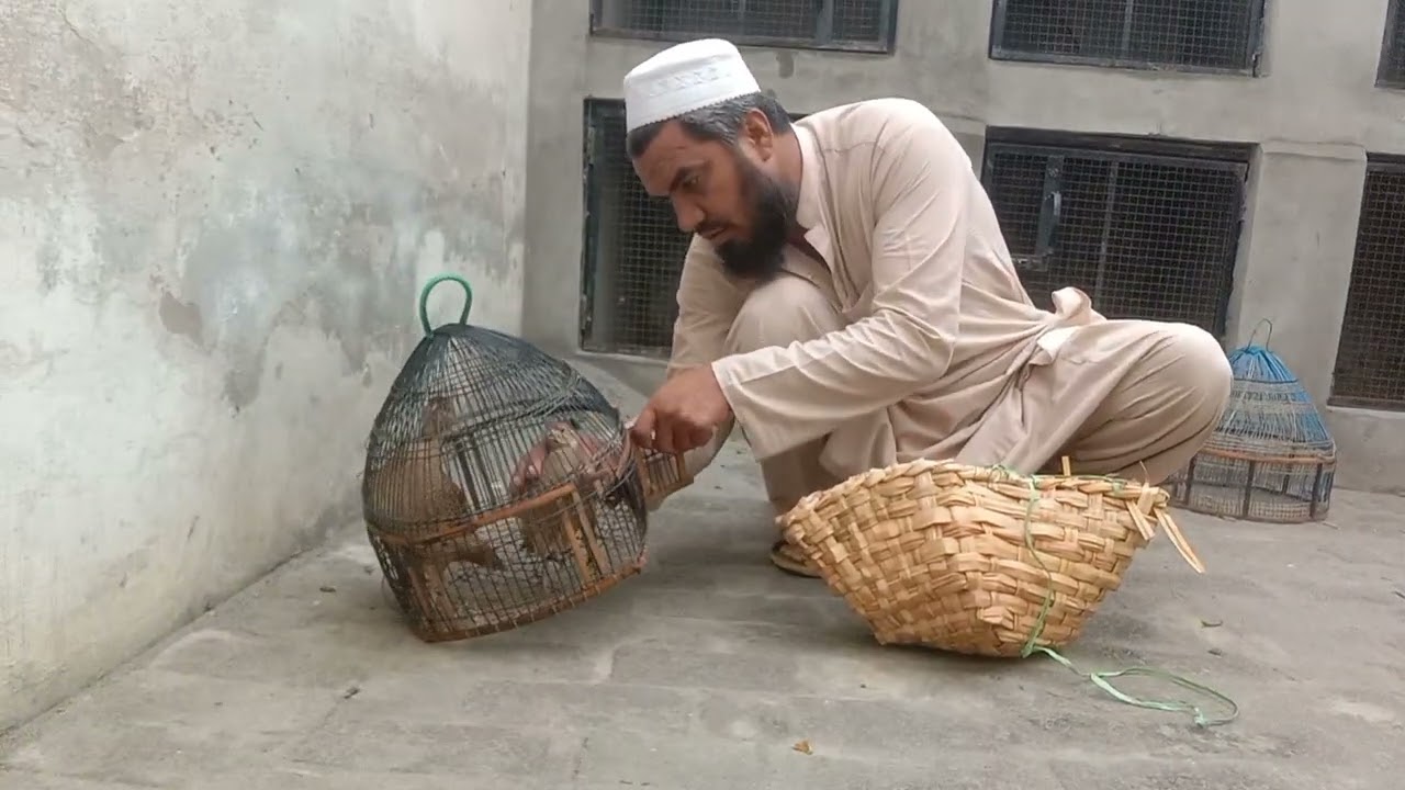 Allah pak bayi ko naseeb kari