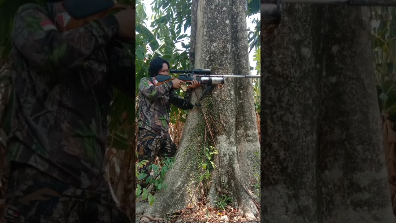 #hunting #berburu #sniper #penembakjitu #jjviral #viral