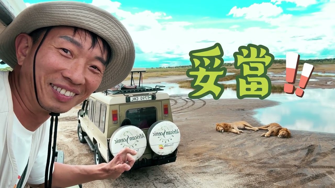 現場直擊非洲動物大遷徙！狂睡獅子王 非洲象 千軍萬斑馬 疣豬 最美保護區Ngorongoro Conservation Area