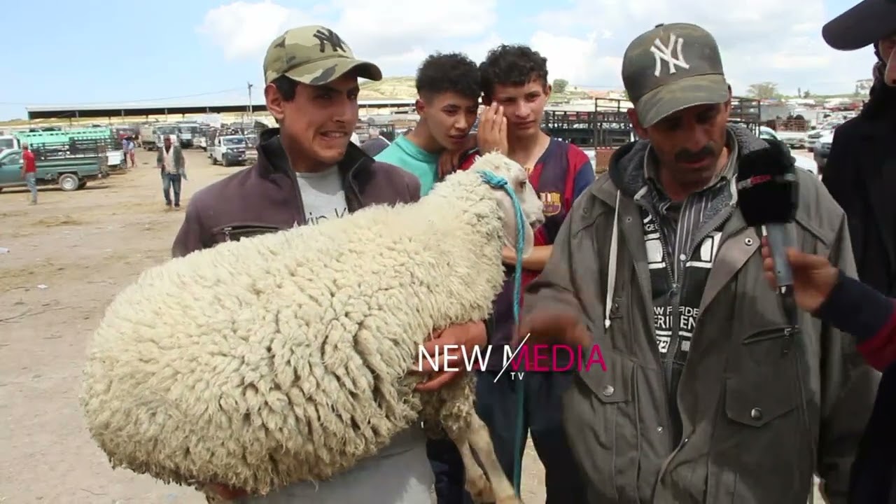 من رحبة الأغنام بالفحص : الزوالي ماعادش يقدر يعيد .. خذيت علوش ب 700 د فيه 10 كلغ 🐏🇹🇳