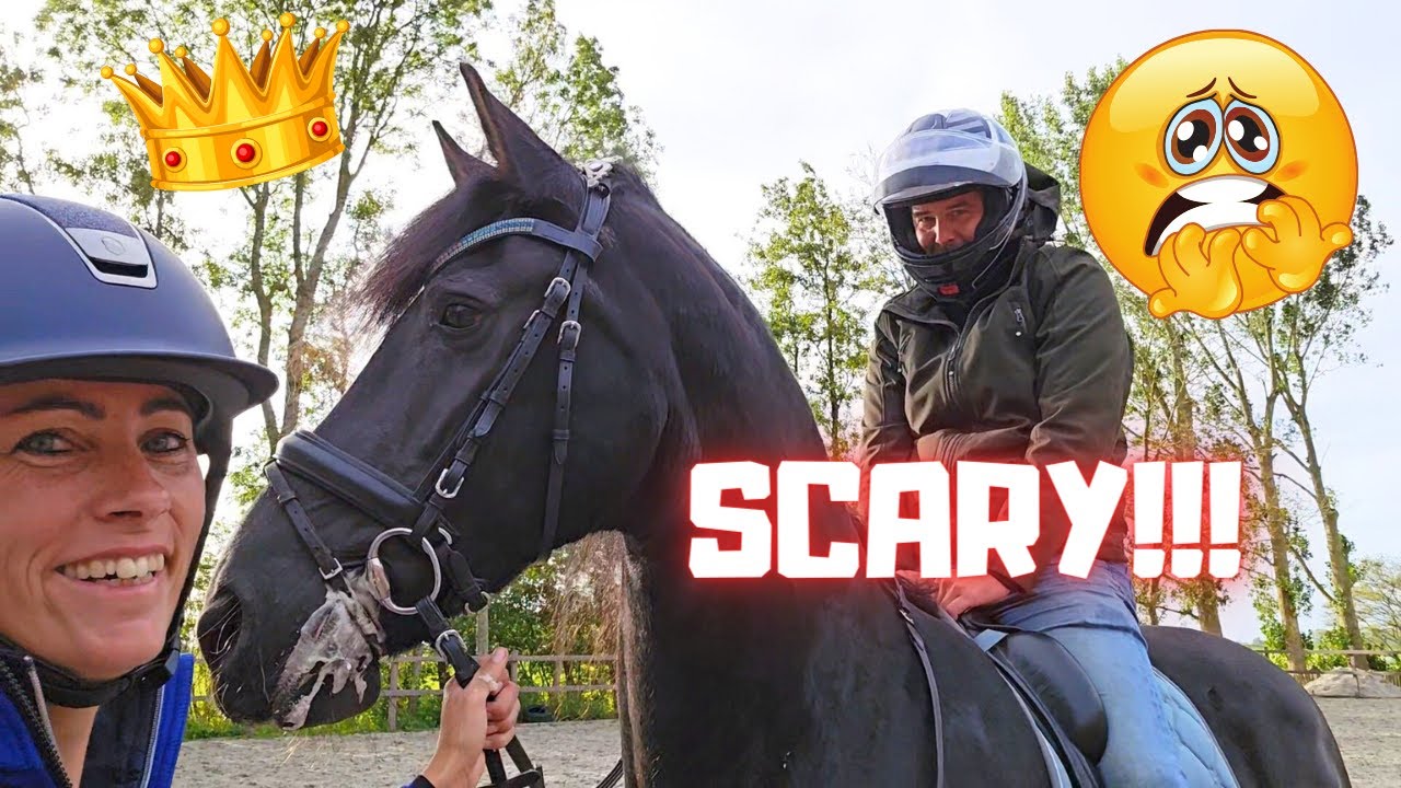 That's scary!!!😱 And Queen👑Uniek is high!!! | Rising Star⭐ isn't good yet | Friesian Horses